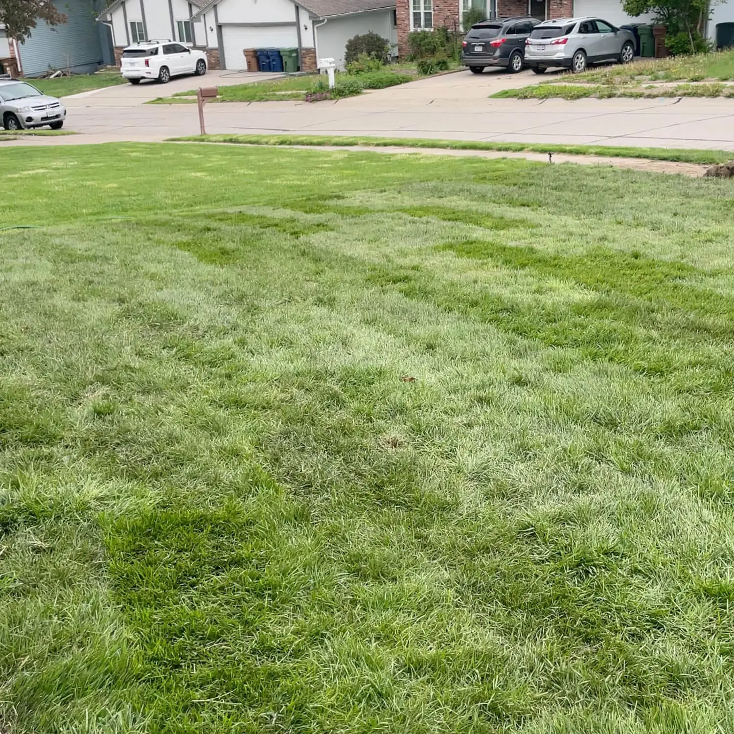 Our beautiful yard after laying sod.